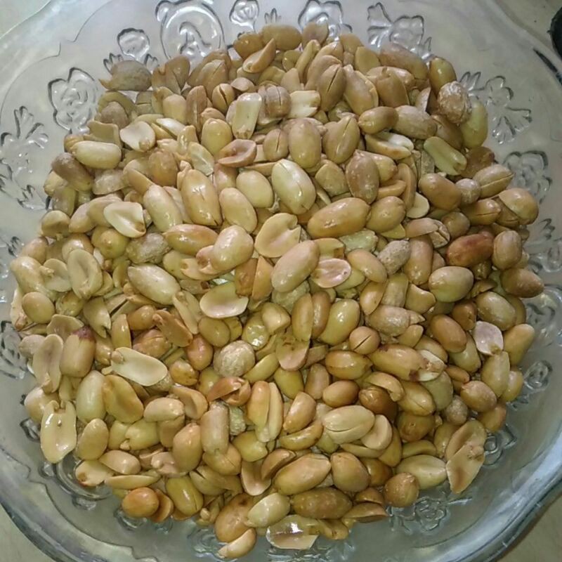 

KACANG BAWANG