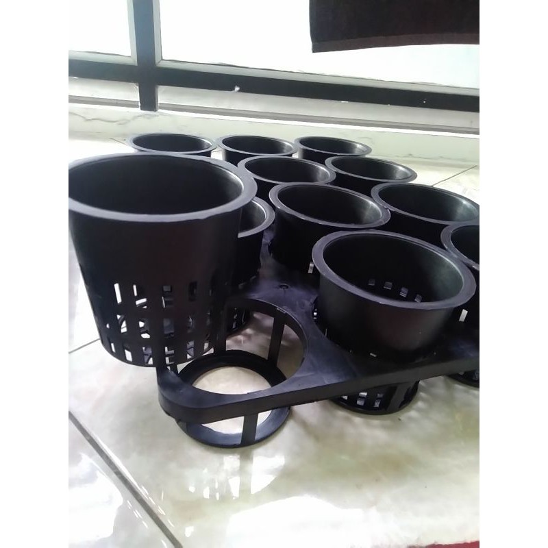 nampan semai Anggrek/ tray semai anggrek type/ lubang 12