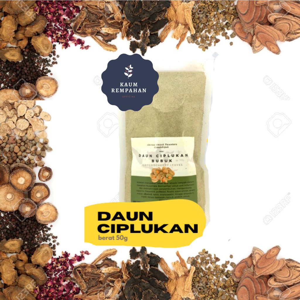 

Obat / Obat Herbal - Daun Ciplukan Bubuk