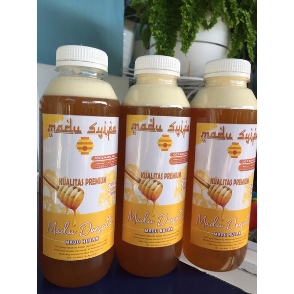 

Madu Hutan Syifa asli Sulawesi 650gr