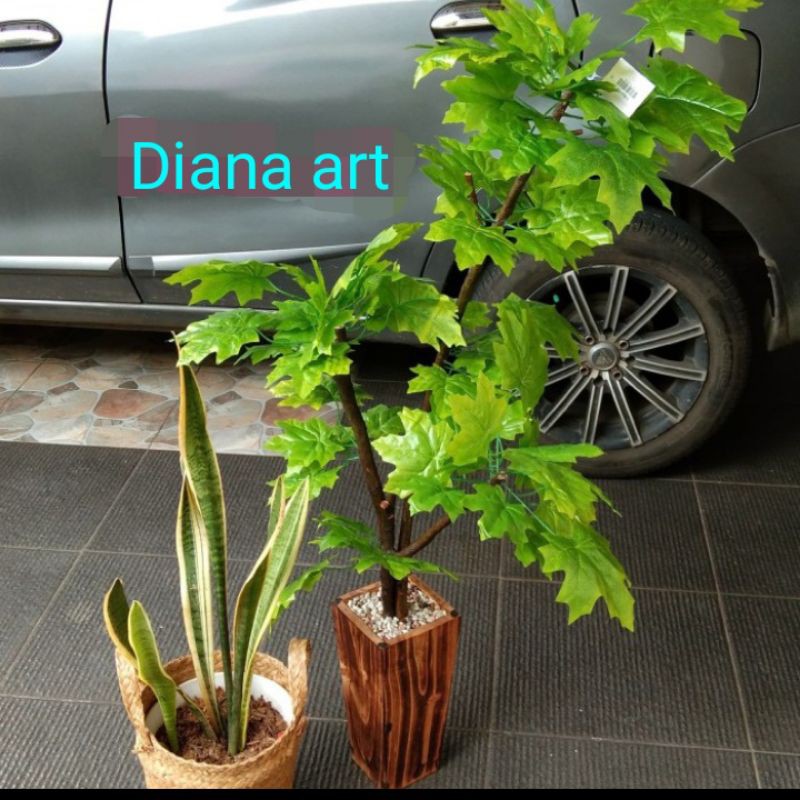 pohon maple#daun anggur#maple hijau#bonsai palsu#daun palsu#bunga palsu#bonsai maple hijau