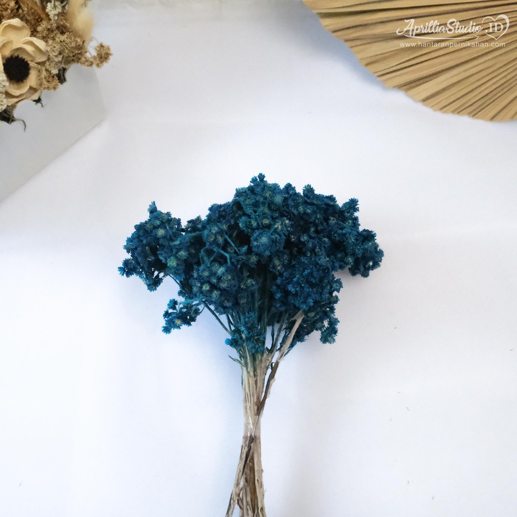 DRIED FLOWER | BUNGA KERING | EDEL - MEDIUM