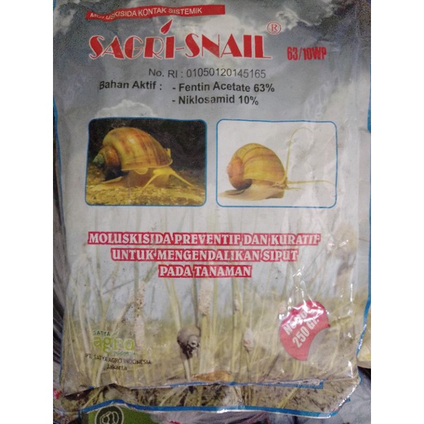 (COD)MOLUSKISIDA SAGRI SNAIL 250GR