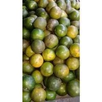 

Buah Jeruk Siam Jember 500 Gram