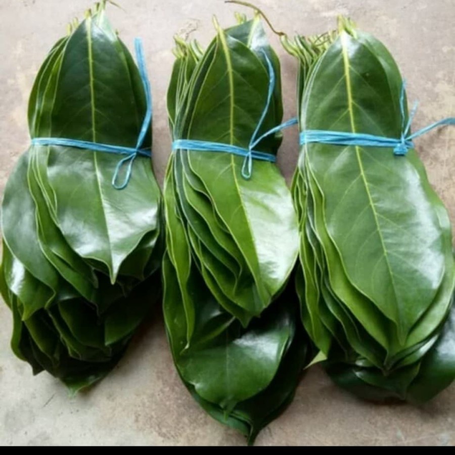 Daun Buah  sirsat Isi  20 lembar