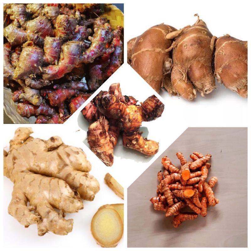 

rempah / bumbu segar / lengkuas / kunyit / jahe / jahe merah / kencur - 250 gr
