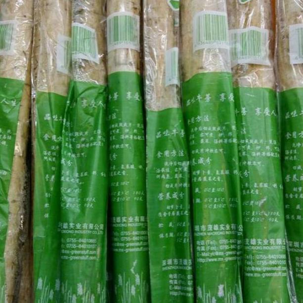 

ZGF BURDUCK (AKAR GOBO/AKAR KETELA JEPANG)➘✌ (Bayar Di Tempat)Terkini ➘