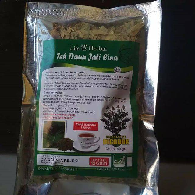 DAUN JATI BELANDA