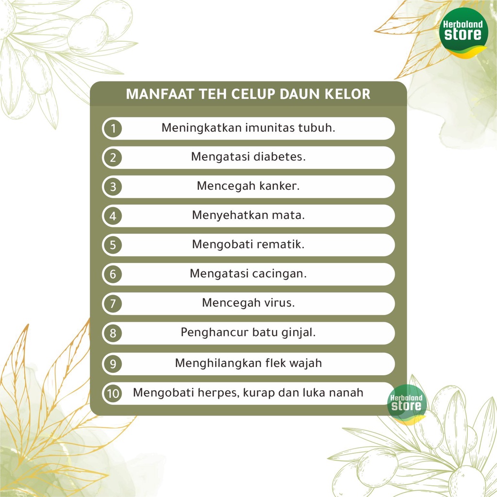 ILFAZY FOOD MORINGA Teh Celup Daun Kelor  gratis 1 gula aren 100 gram