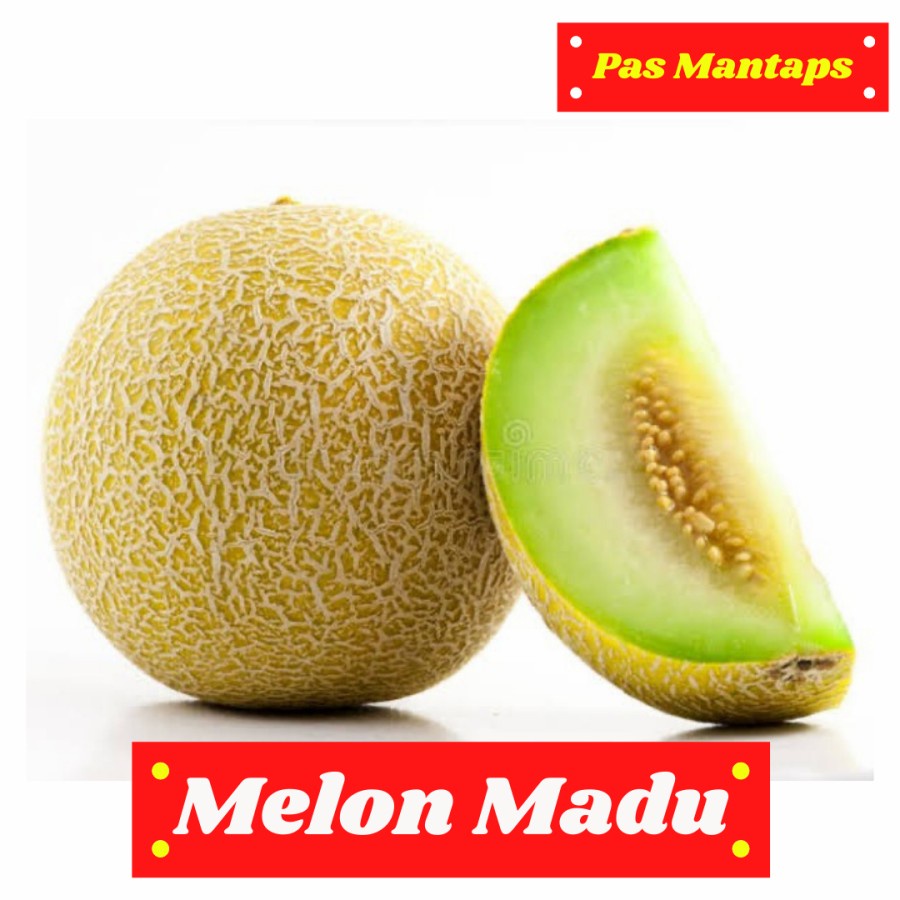 

Melon madu 1.5 kg - 2 kg Pasar Buah Segar