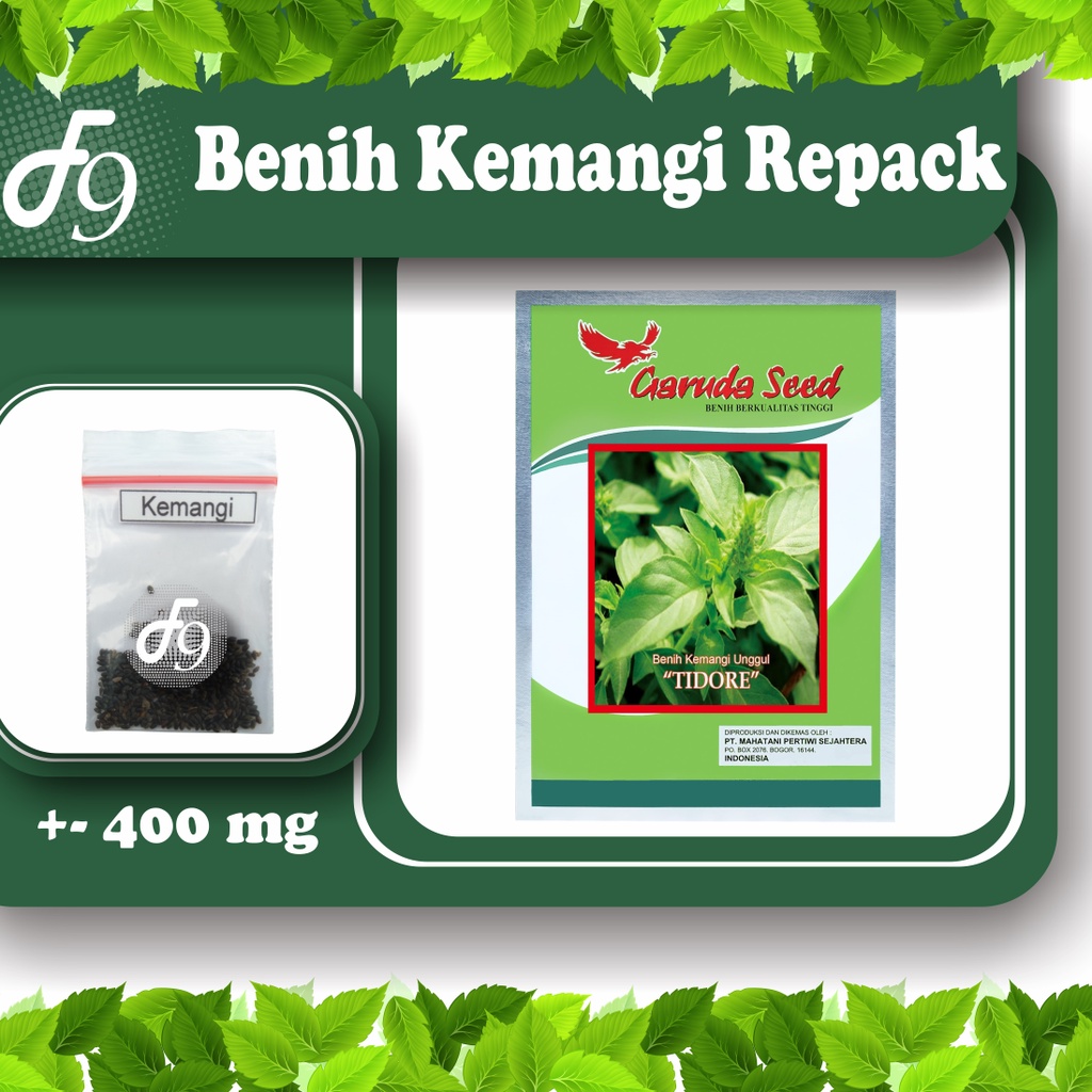 Benih Bibit Kemangi Murah Repack Seribuan