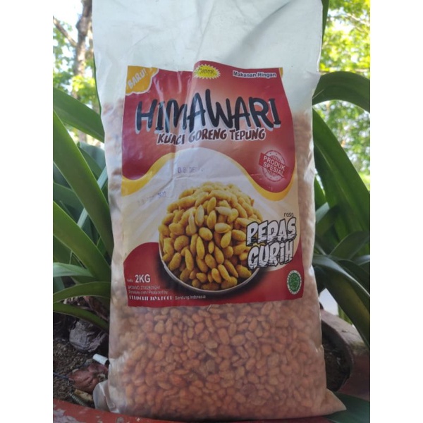 

kacang-kacangan , pilus dan kuaci goreng