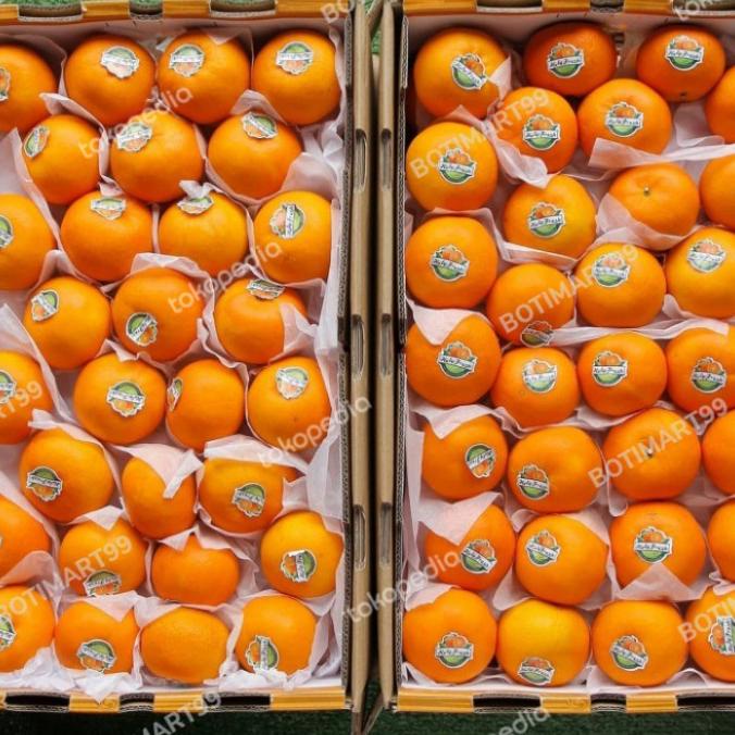 

BUAH JERUK WONKAM HOLYFRESH MANIS BANYAK AIR PERDUS ISI 9KG GIFTPACK FH51515ED