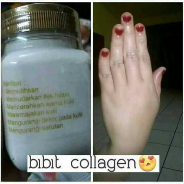 BITCOL (bibit collagen)