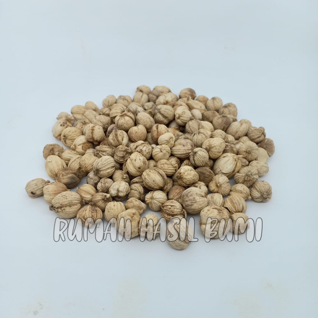 

Kapulaga Cardamom 100gram