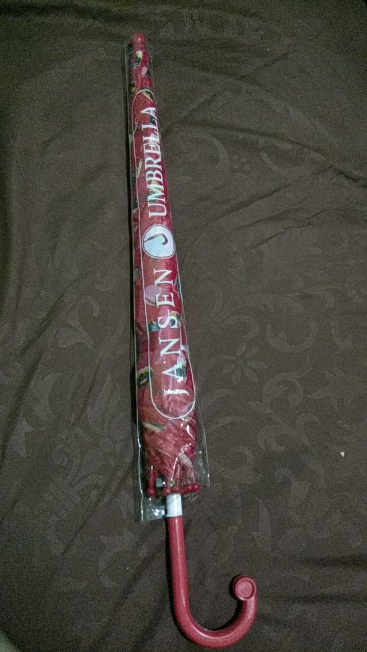 Payung Anak Motif Karakter