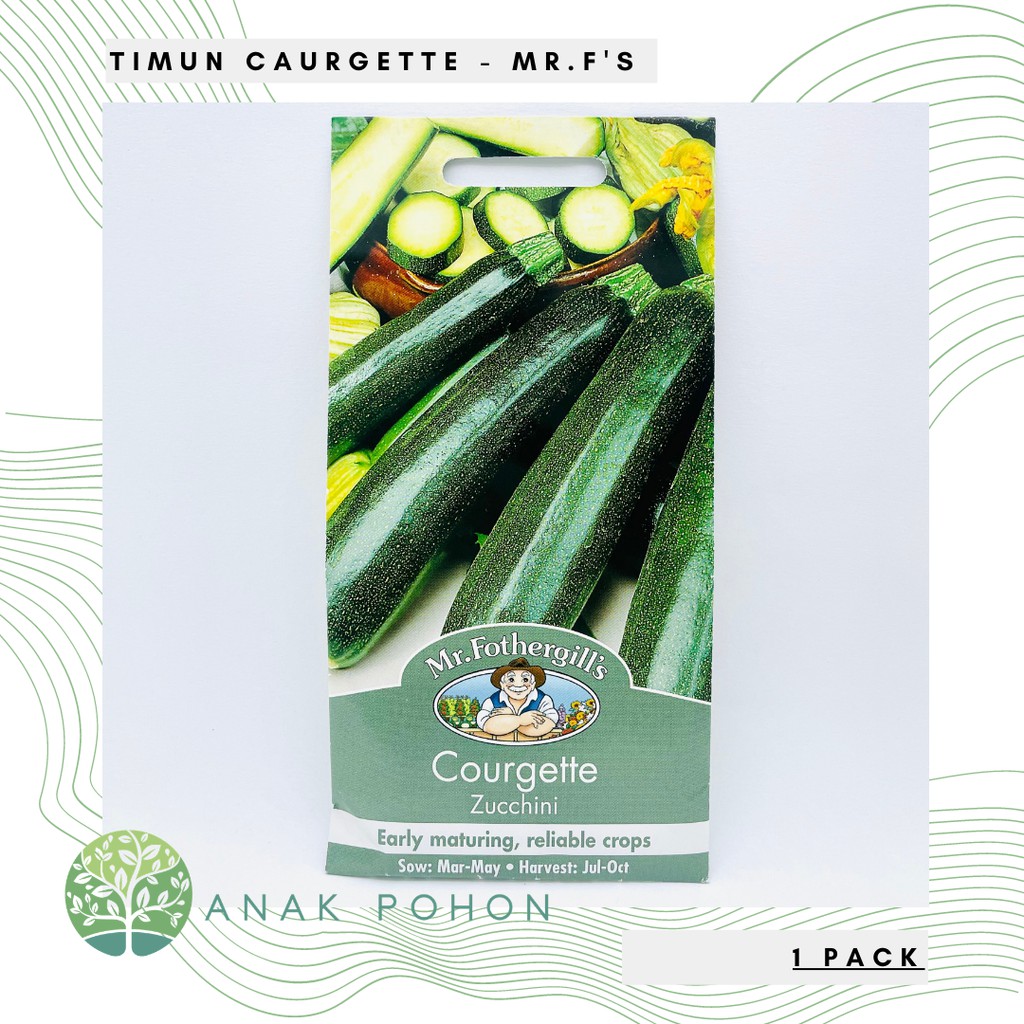 ( 1 PACK ) Benih Courgette Zucchini - Mr. Fothergills - 20 Biji