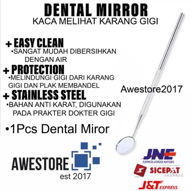 ECER SATUAN 1 PC Alat Pembersih Karang Gigi Dental Tartar Remover Kikir Stainless Steel