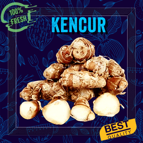

KENCUR / CIKUR / AROMATIC GINGER ROOT Per 100 gr BUMBU DAPUR