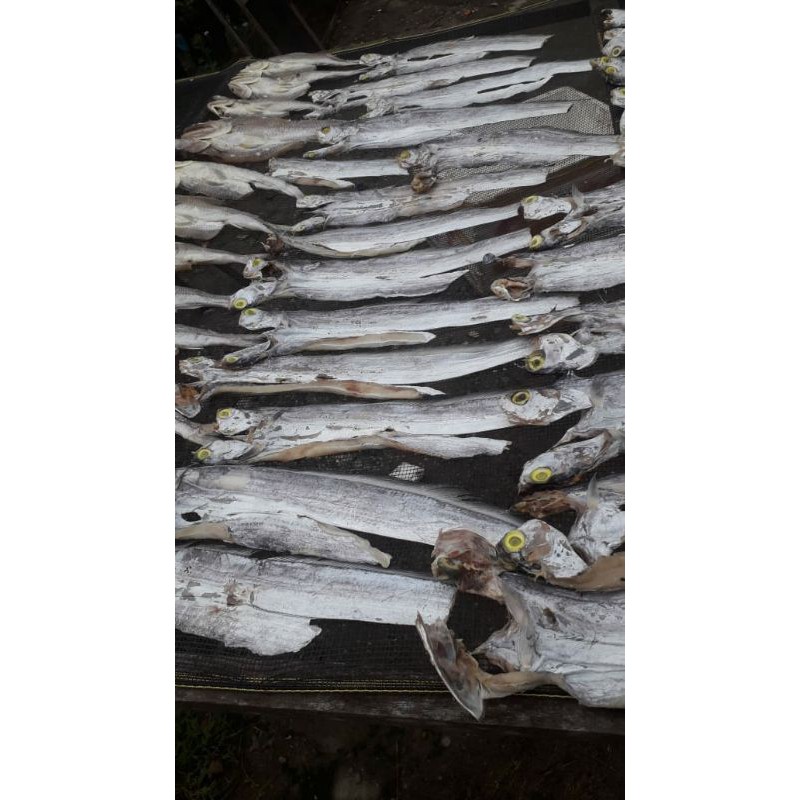 

ikan asin aceh