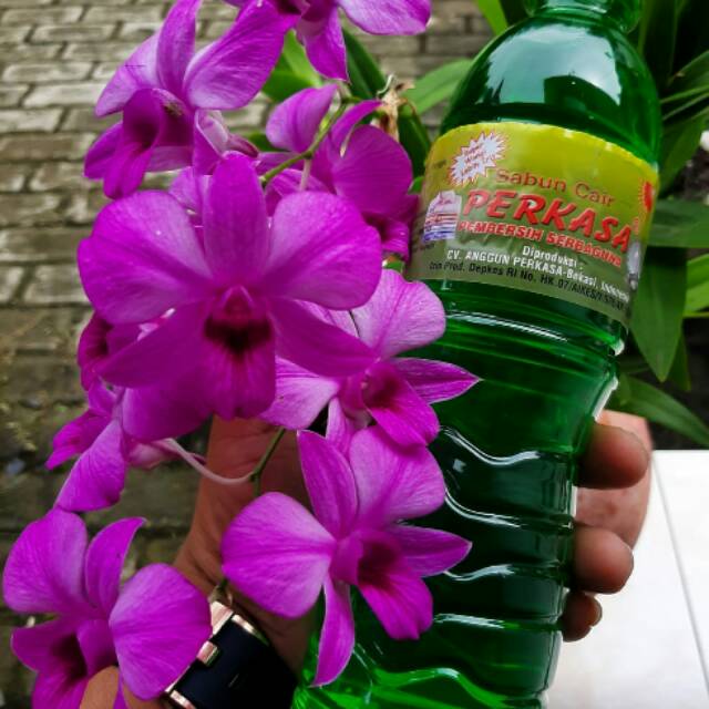 Sabun cair perkasa