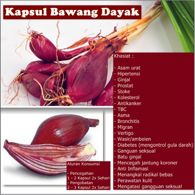 Kapsul Bawang Dayak Obat Jamu Herbal Mengatasi Asam Urat Wasir Migran Perkapsul Shopee Indonesia