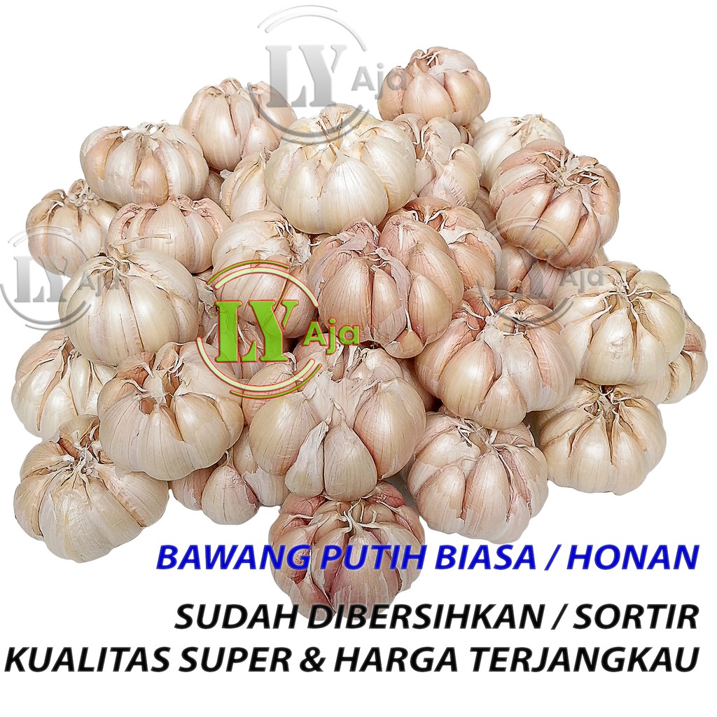 Bawang Putih Biasa Honan 500 Gram BERSIH dan KOTOR Kualitas Super LY Aja 500 Gr