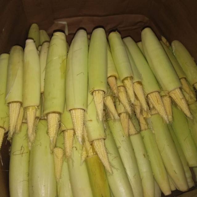 

[500gr] Jagung Acar