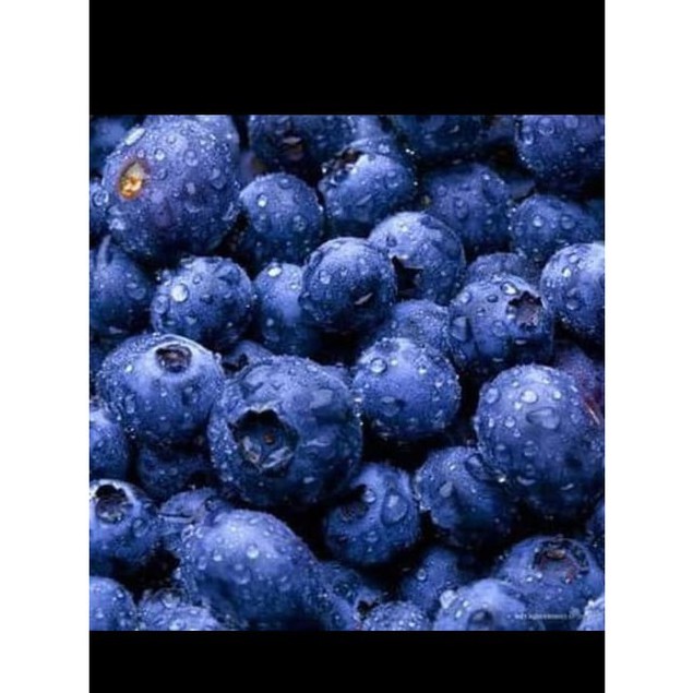 

Blueberry Frozen USA 1 kilo