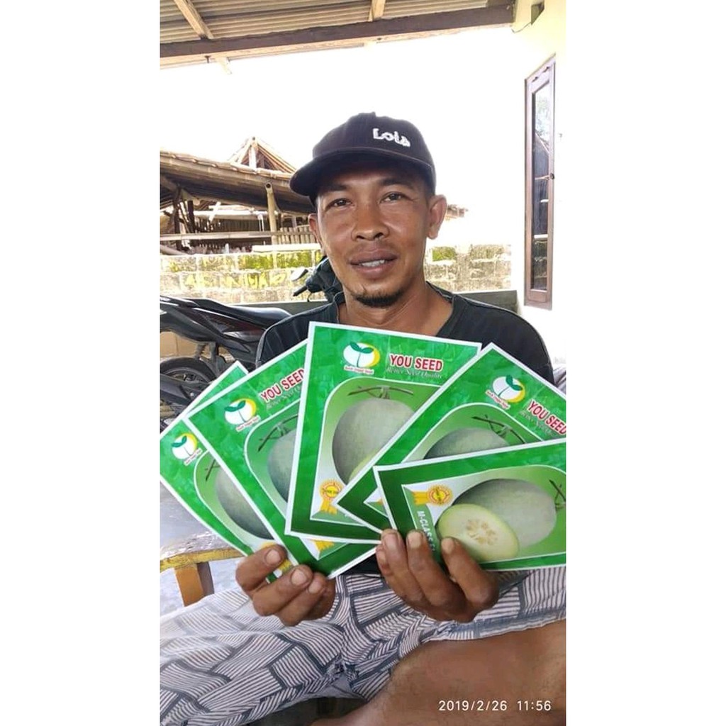 Cod Benih Melon M-Class Tahan Virus - Bibit Tanaman Buah Melon Isi Banyak Kk1