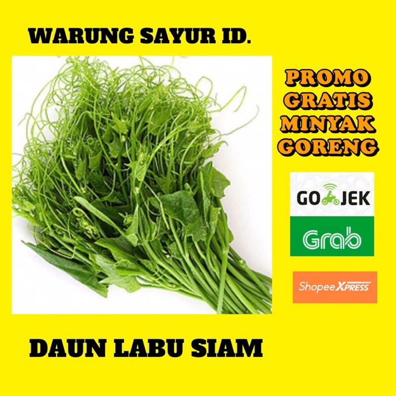 

DAUN LABU SIAM