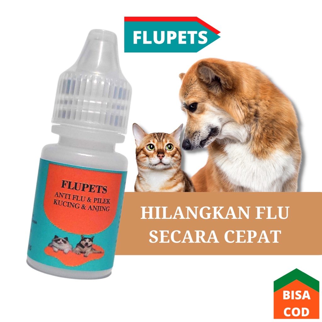 OBAT FLU KUCING ANJING  Flucat Doxy Cat Coldy Cat Flu Cat Flu Kucing Ampuh FLUPETS