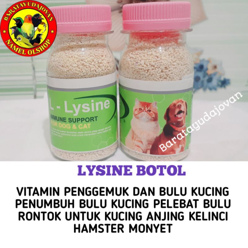 LYSINE BOTOL VITAMIN PENGGEMUK DAN BULU KUCING PENUMBUH BULU KUCING PELEBAT BULU RONTOK UNTUK KUCING