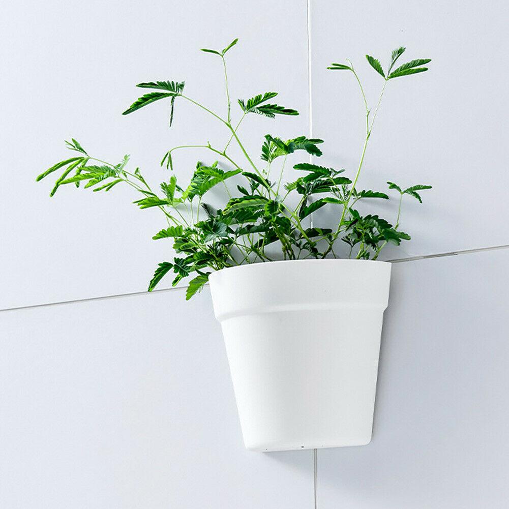 Chookyy Planter Gantung Indoor Outdoor Nordic Pot Bunga Awet