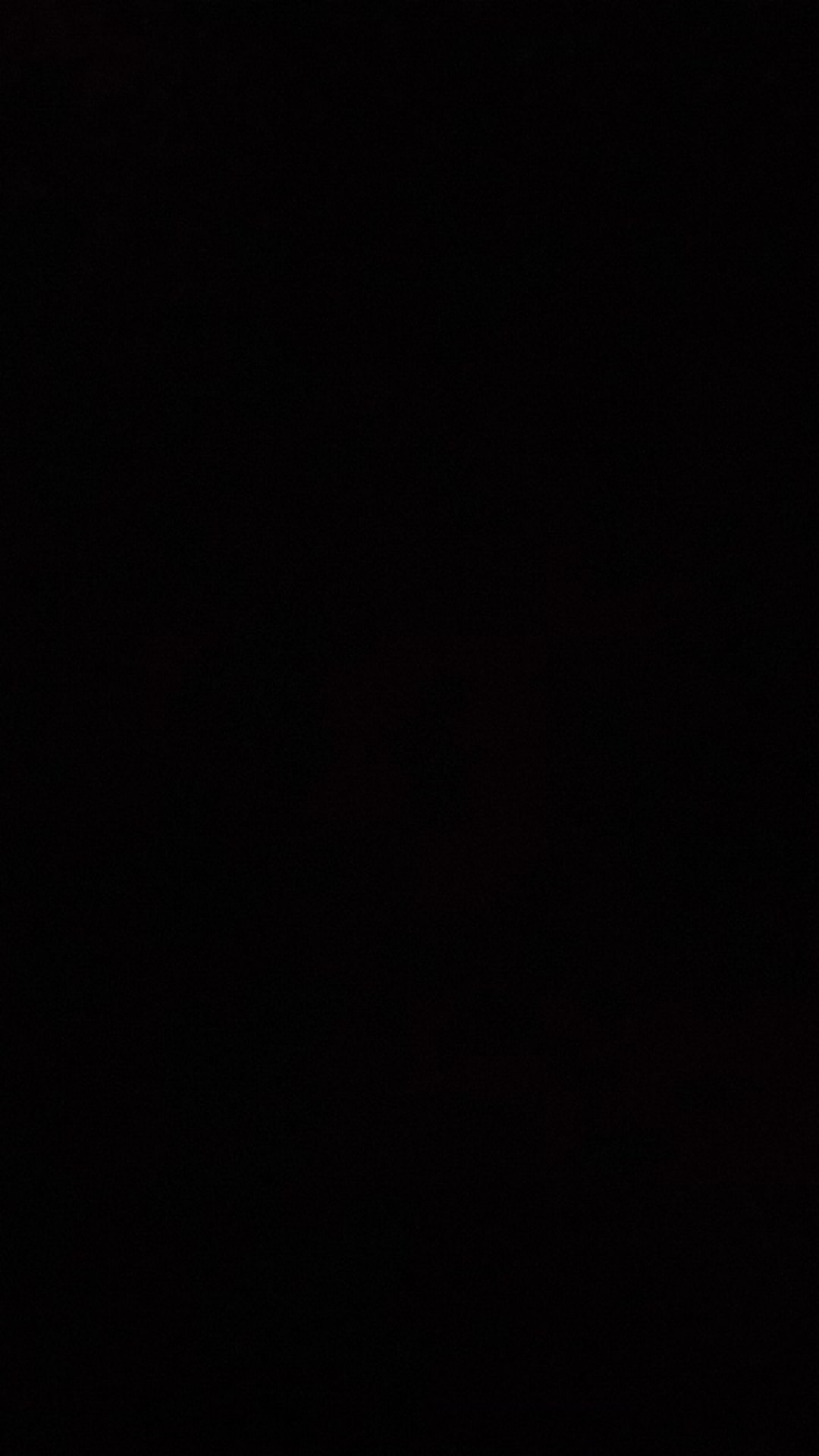 Bibit Alpukat Varigata