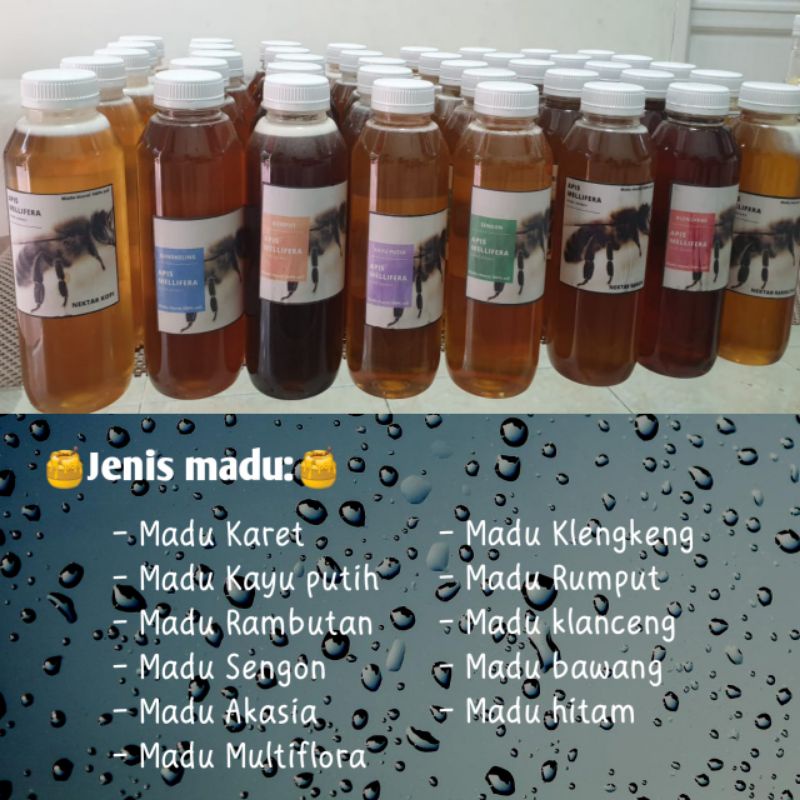 MADU ASLI DAN MURNI 100%-BERBAGAI JENIS MADU-KESEHATAN