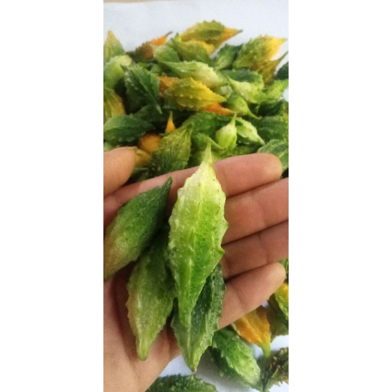 

Buah pare hutan paria kecil peres segar 300 grm