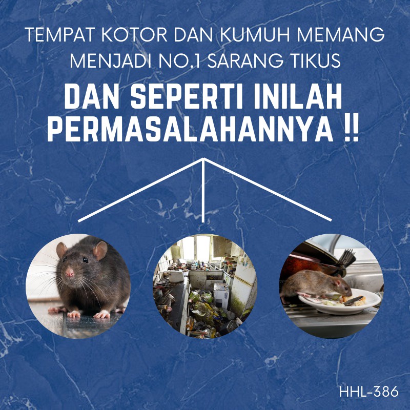 Racun Tikus Paling Ampuh membunuh tikus obat racun tikus obat tikus pembasmi tikus original RAT POISON