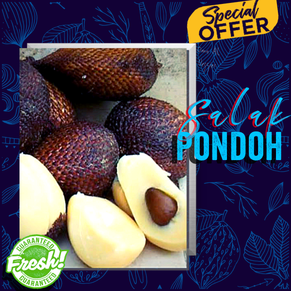 

SALAK PONDOH PER 1 KG