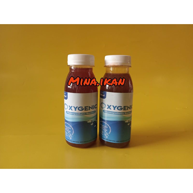 Oxygenic 100 ml Photosynthetic Bacteria Bakteri Fotosintesis Starter Cair Pengurai Amonia Probiotik