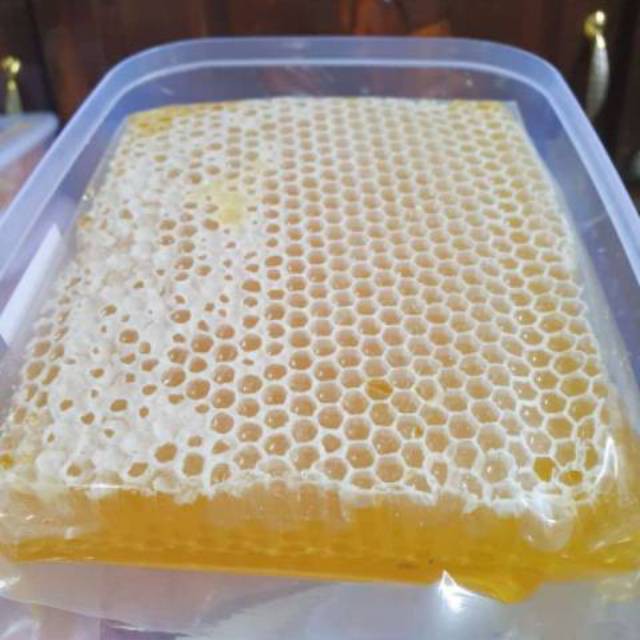 

sarang lebah madu asli fresh 250 gram