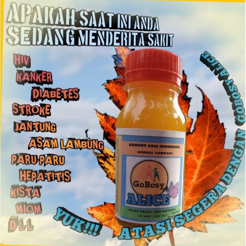 Gobosy alice herbal