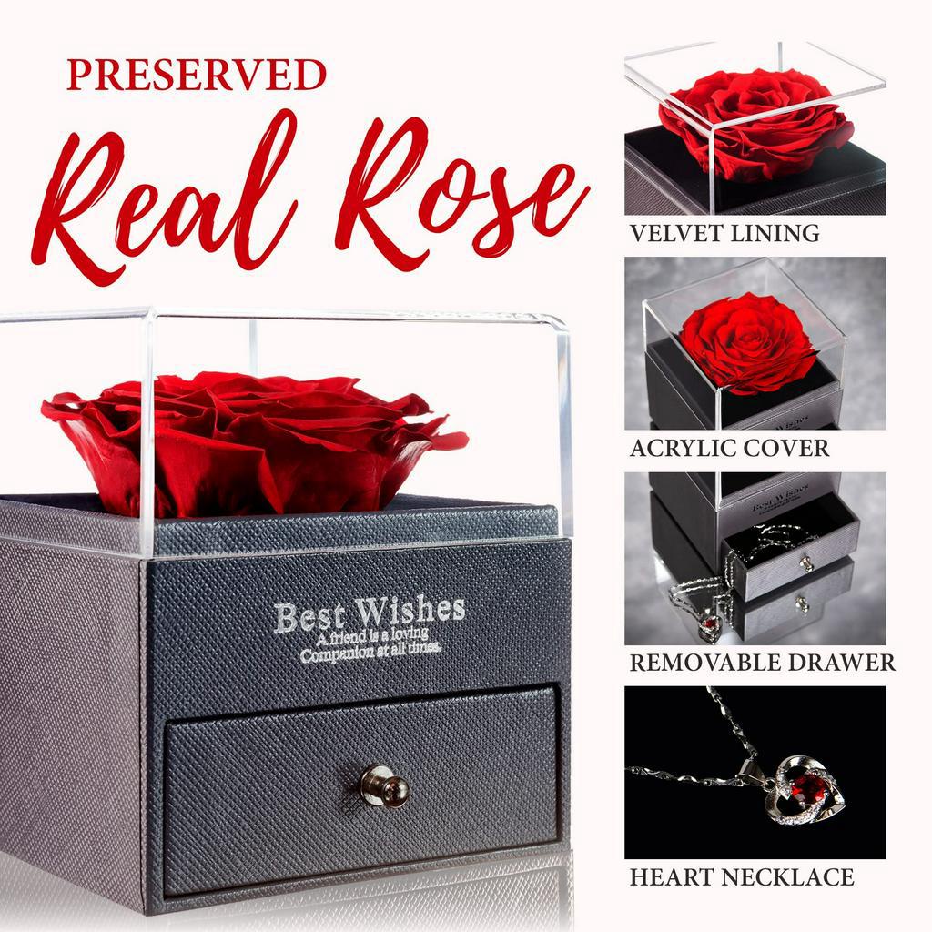 Hadiah Untuk Cewek Mawar Abadi yang Diawetkan Selamanya Tulang selangka berbentuk hati with kalung Rose dalam Kotak Cinta Terbuat dari Mawar Kecantikan Segar Sejati - Kado Romantis untuk Wanita, Wanita, Ibu
