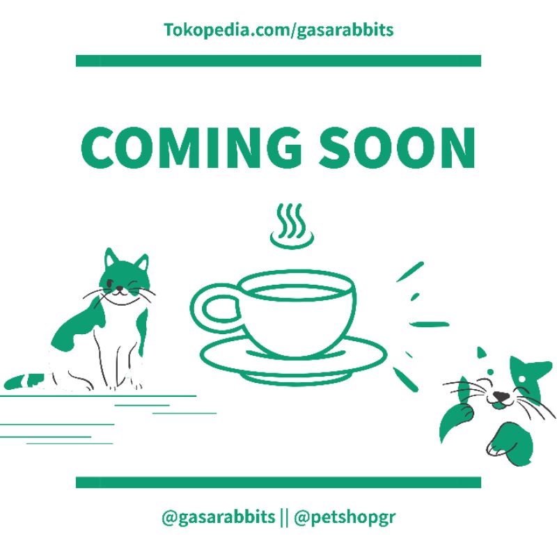 PALLET KANDANG - ALAS KAKI KELINCI - FOOTREST KELINCI - ALAS KANDANG - ALAS KUCING-Putih