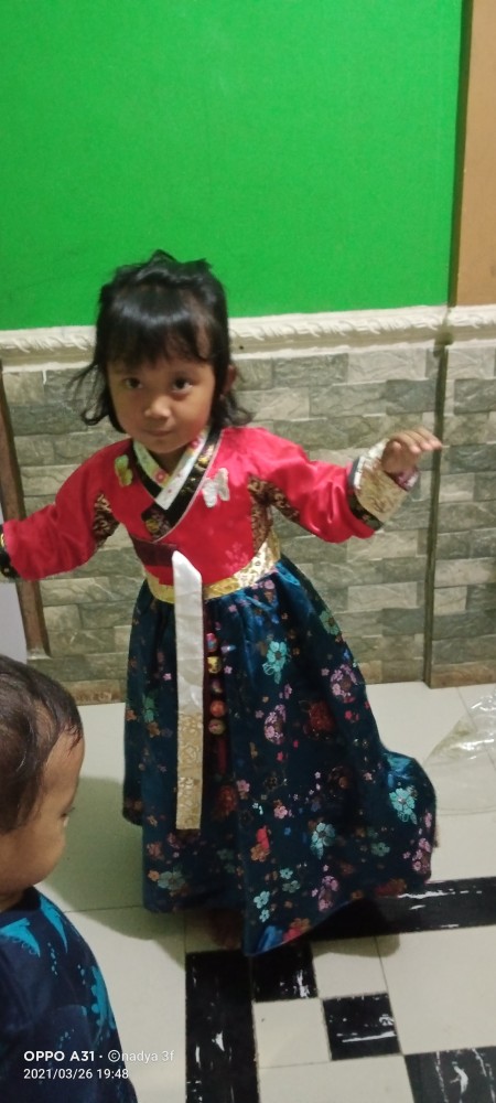 Hanbok Korea Warna Remdom