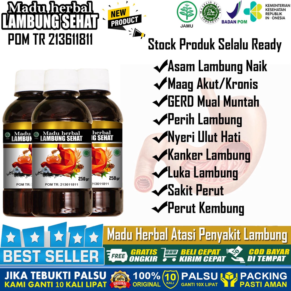 Jual Madu Herbal Lambung Sehat Atasi Asam Lambung Kronis Maag