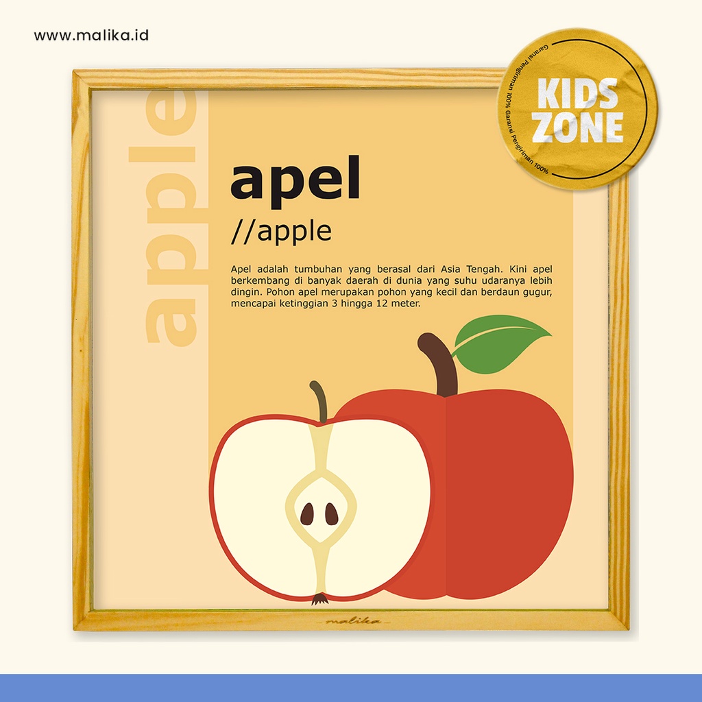 Hiasan Dinding Lucu Infografis Buah Apel