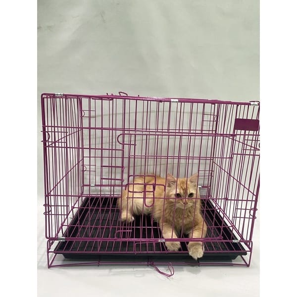 KANDANG KUCING ANJING KELINCI KANDANG BESI LIPAT UKURAN 60X40