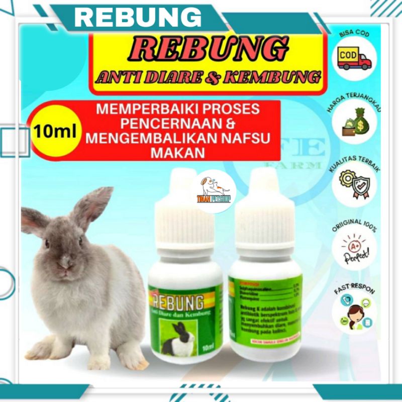 REBUNG OBAT KELINCI ANTI DIARE DAN KEMBUNG MENGEMBALIKAN NAFSU MAKAN