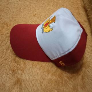 topi sd negeri dan topi pramuka bordir depan dan samping